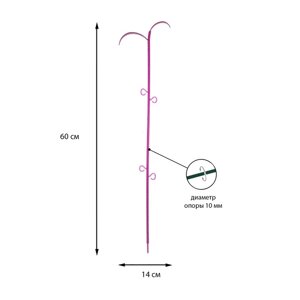 Поддержка для орхидей, 60 14 1 см, пластик, цвет МИКС, «Пальма»