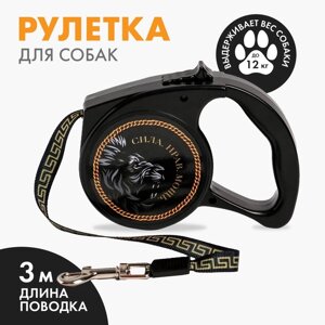 Рулетка «Сила. Нрав. Мощь» 3 м, max=12 кг, чёрная