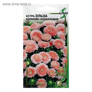 Семена цветов Астра "Эльза", кремово-коралловая, 35 шт