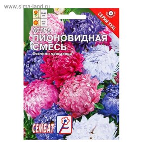 Семена цветов ХХХL Астра "Пионовидная смесь", О, 2 г