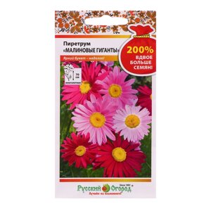 Семена цветов Пиретрум "Малиновые гиганты", 200%0,4 г