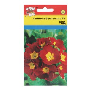 Семена цветов Примула "Белиссима Ред", F1, 3шт