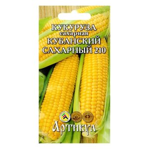 Семена Кукуруза сахарная "Кубанский Сахарный 210", цв. пакет, 8 г