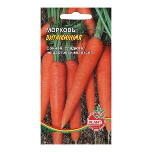 Семена Морковь "Витаминная", 800 шт.
