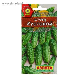 Семена Огурец "Кустовой", скороспелый, пчелоопыляемый, 20 шт