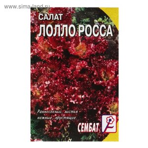 Семена Салат "Лолло-росса", 0,2 г