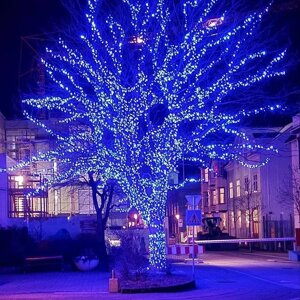Уличные гирлянды для деревьев LED 50 метров (Синий) катушка м