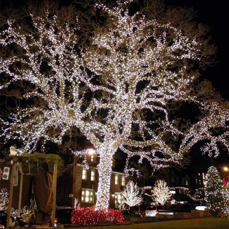 Уличные гирлянды для деревьев LED 100 м., Холодный белый ##от компании## Покупка-Маркет - ##фото## 1