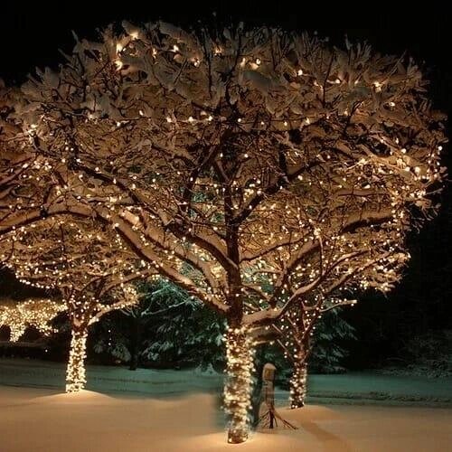 Уличные гирлянды для деревьев LED 100 метров (Теплый белый) в катушке м от компании Покупка-Маркет - фото 1