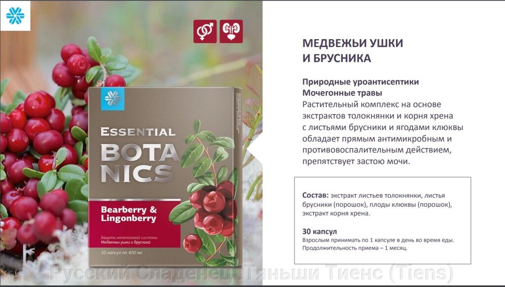 Медвежьи ушки от чего. Сибирское здоровье Essential Botanics. Медвежьи ушки и брусника - Essential Botanics. Essential Botanics Медвежьи ушки и брусника капсулы. Брусника Сибирское здоровье.