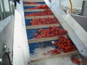 Линия по переработке свежих помидоров черри