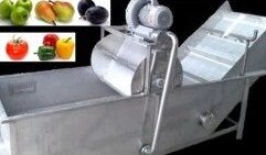 Моечная машина для овощей и фруктов от компании ООО"ТехСнаб ДВ" - фото 1
