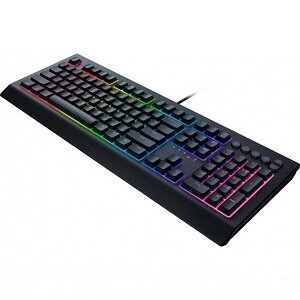 Razer Клавиатура Cynosa V2 Black (RZ03-03400700-R3R1)