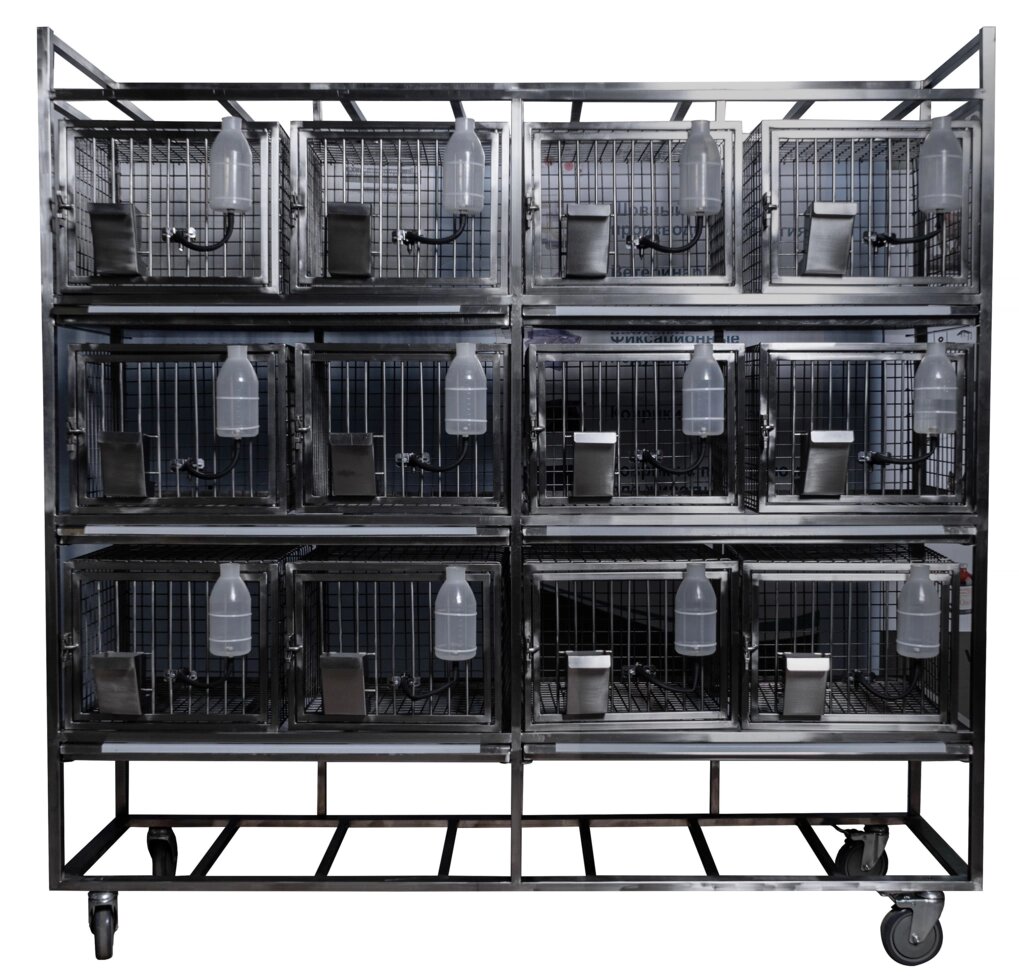 Стеллаж с 12 клетками для лабораторных кроликов CL-1271.4 от компании АВАНТИ Медицинская мебель и оборудование - фото 1
