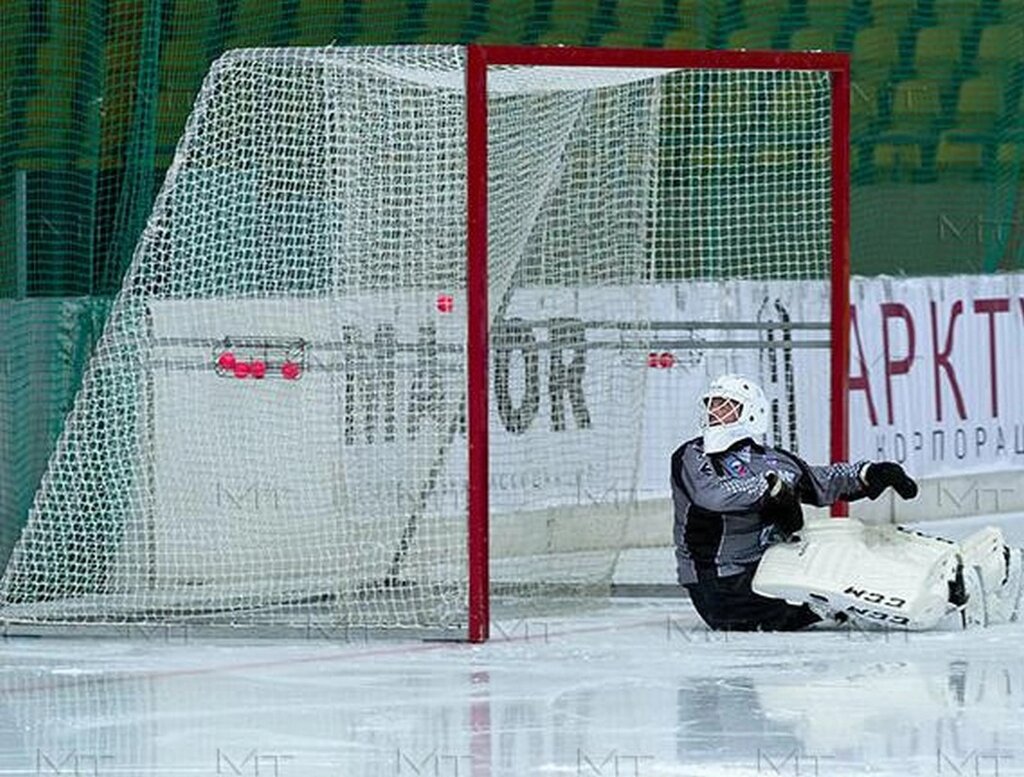 Сетка для гашения, хоккейная, Ø 3,5 мм (2,1х3,6) от компании Setka-Profi - фото 1