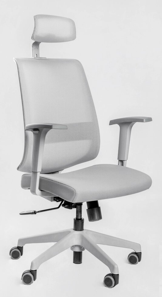 Эргономичное кресло Falto Neo, серый каркас от компании HumanToday - Товары для людей, идущих в ногу со временем - фото 1