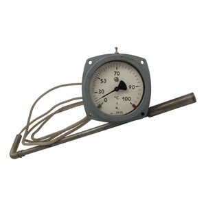 ТКП-100Эк-М1 (0…100)-1,0-6,0х160 Термометр капиллярный электроконтактный
