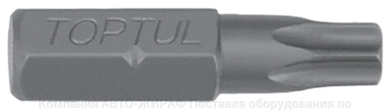 Бита 1/4" TORX T10, L=25 мм с отверстием TOPTUL от компании Компания АВТО-ЖИРАФ Поставка оборудования по ценам завода изготовителя - фото 1