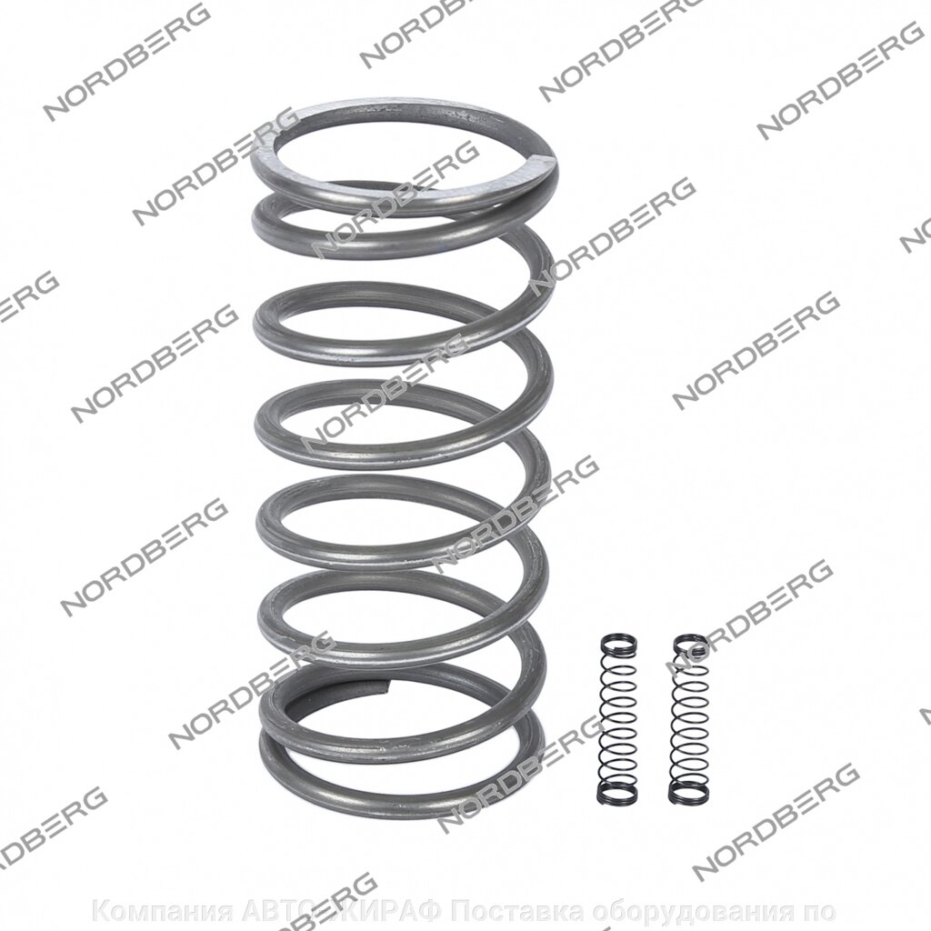 Комплект пружин насоса для N601T от компании Компания АВТО-ЖИРАФ Поставка оборудования по ценам завода изготовителя - фото 1