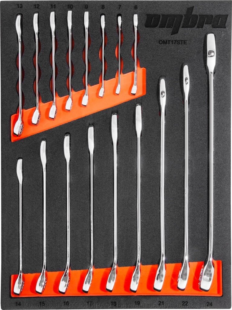 OMT17STE Набор ключей комбинированных 6-24 мм в EVA ложементе 280х375 мм, 17 предметов от компании Компания АВТО-ЖИРАФ Поставка оборудования по ценам завода изготовителя - фото 1
