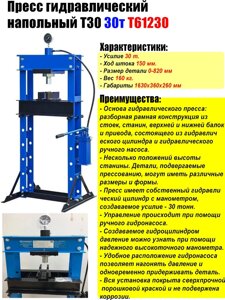 Пресс гидравлический напольный T30 30т TMP