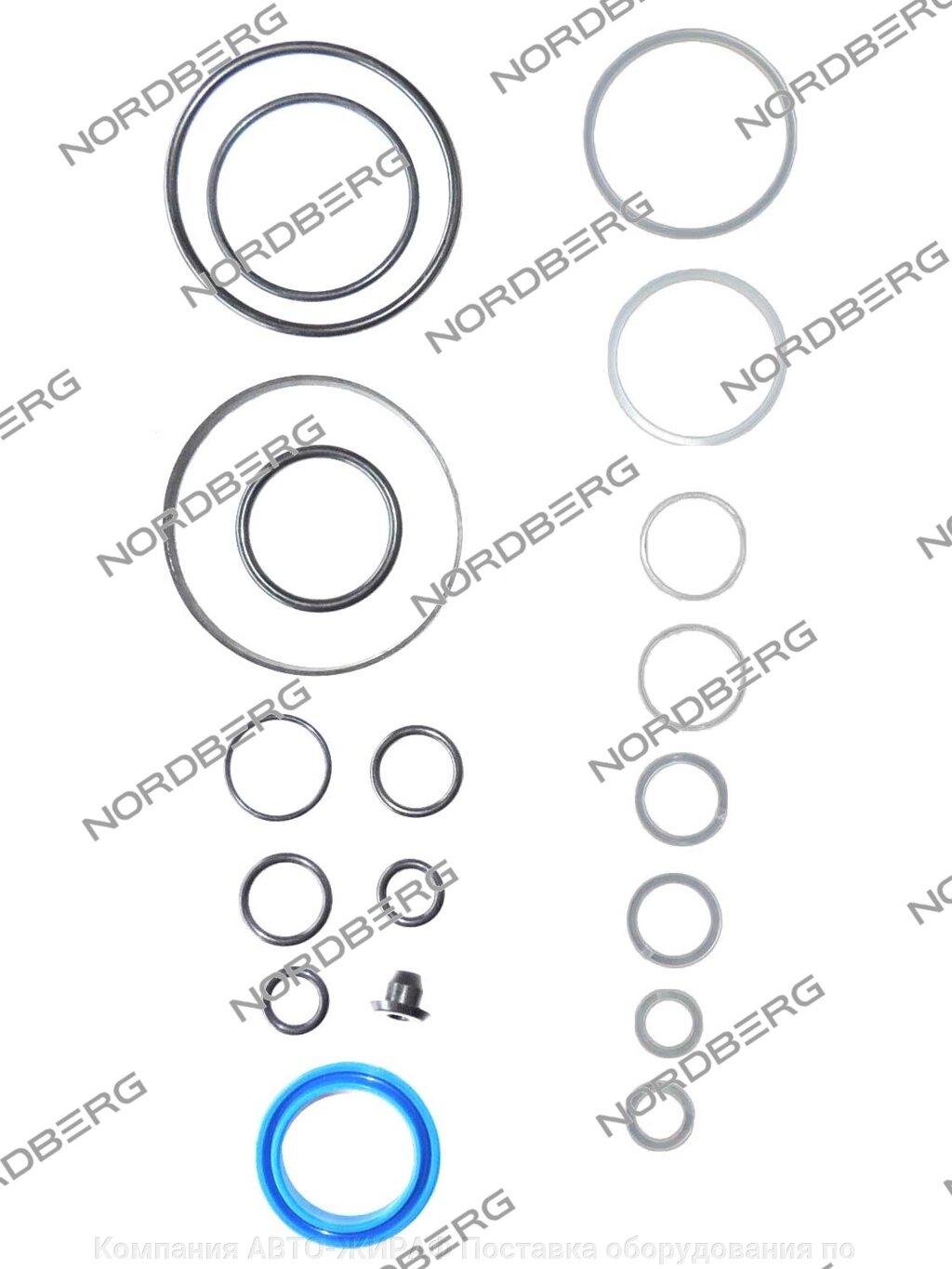 Ремкомплект для домкрата N32031 NORDBERG N32031#RK от компании Компания АВТО-ЖИРАФ Поставка оборудования по ценам завода изготовителя - фото 1