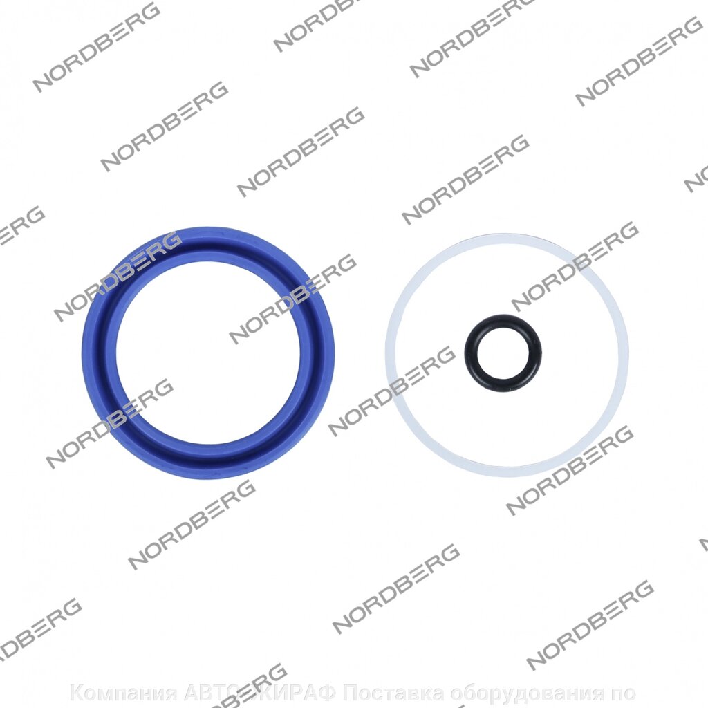 Ремкомплект для гидравлического цилиндра N38C106 от компании Компания АВТО-ЖИРАФ Поставка оборудования по ценам завода изготовителя - фото 1