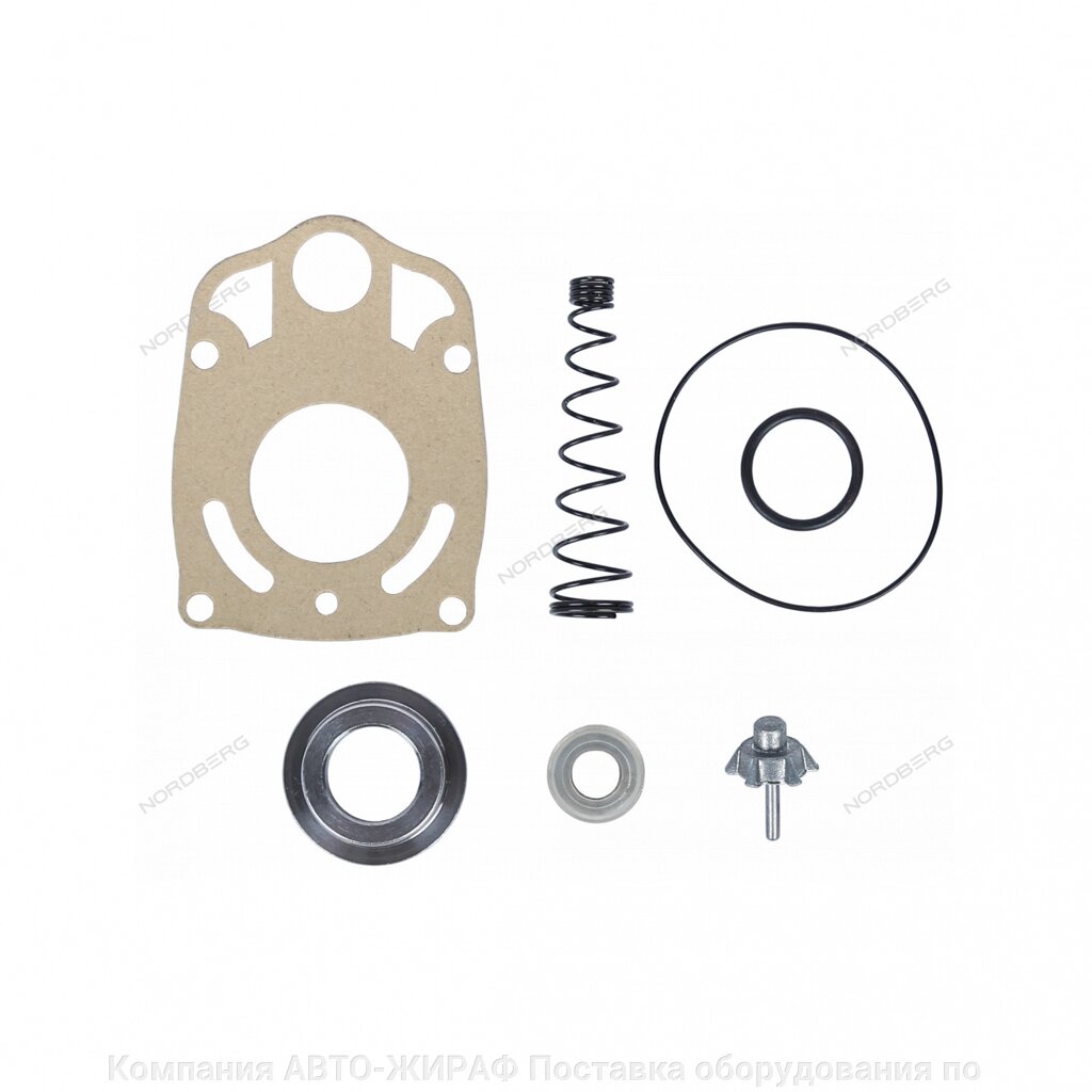 Ремкомплект для NP14075 от компании Компания АВТО-ЖИРАФ Поставка оборудования по ценам завода изготовителя - фото 1
