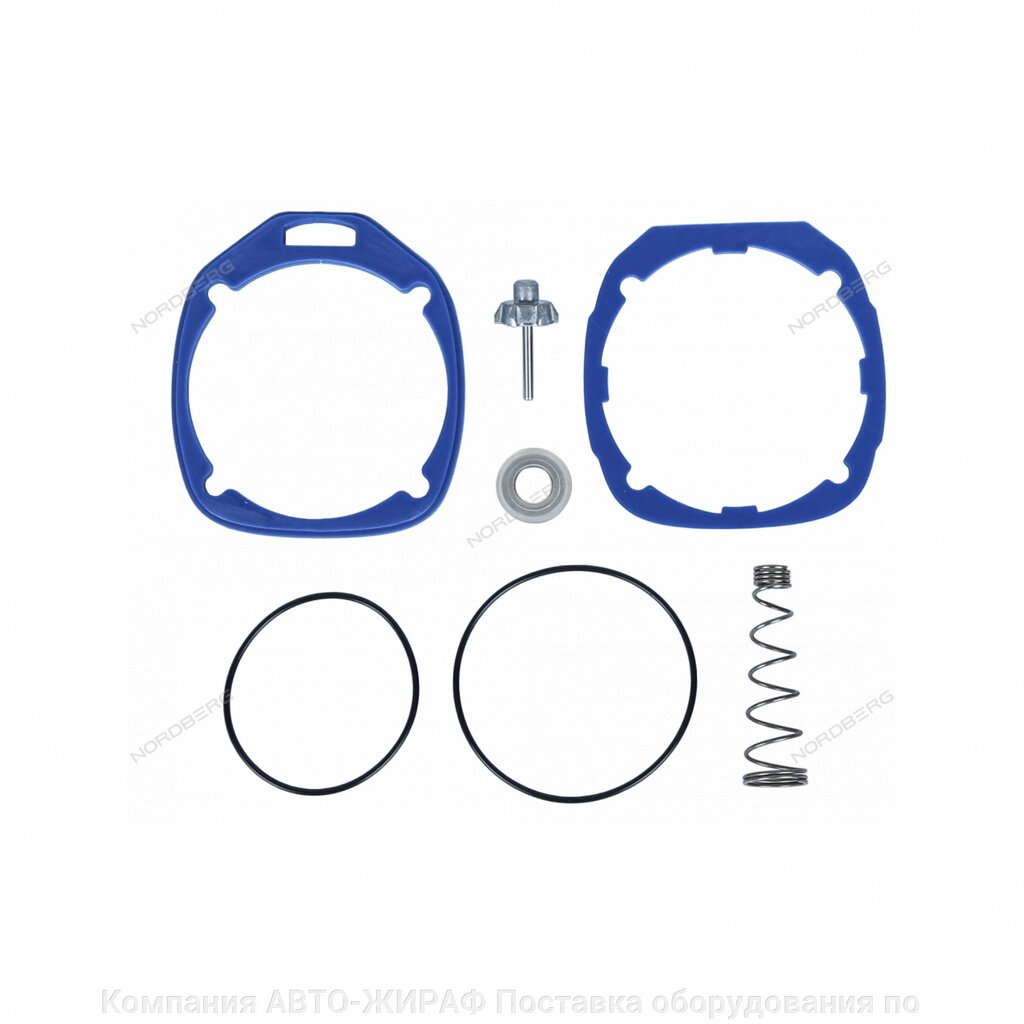 Ремкомплект для NP14101/NP14101K от компании Компания АВТО-ЖИРАФ Поставка оборудования по ценам завода изготовителя - фото 1