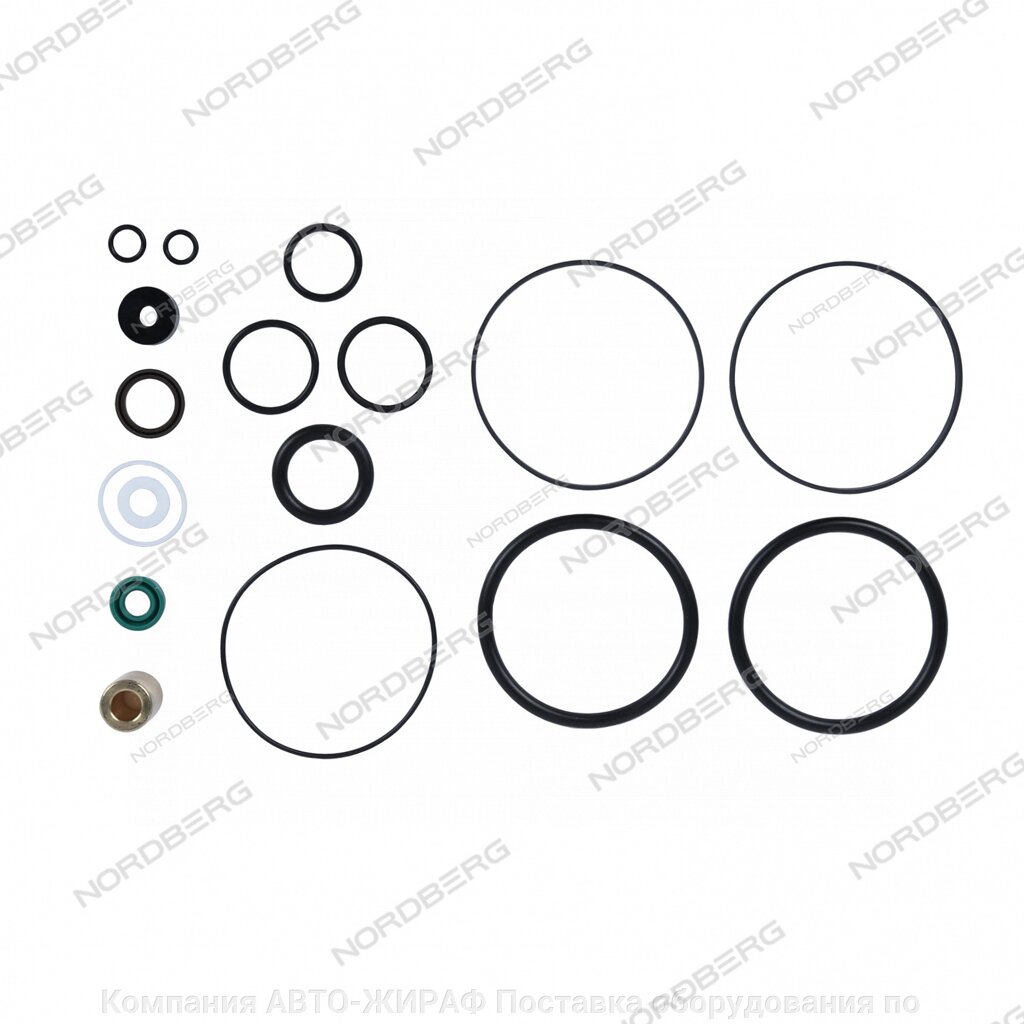 Ремкомплект насоса для N501T от компании Компания АВТО-ЖИРАФ Поставка оборудования по ценам завода изготовителя - фото 1