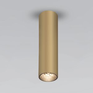 Накладной светодиодный светильник Pika 25031/LED 6W 4200K золото