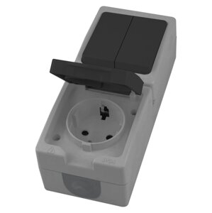 Розетка STEKKER PST16-11-54V/10-121-54 (блок с выключателем двухклав., однополюсным для двух цепей с общим вводом,