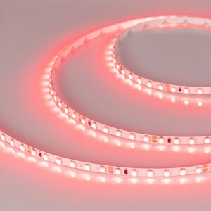 Светодиодная лента RT-A120-5mm 24V Red (9.6 W/m, IP20, 2835, 5m) (Arlight, 9.6 Вт/м, IP20)