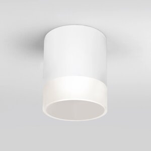 Уличный потолочный светильник Light LED 2107 IP54 35140/H белый