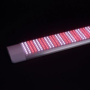 Фитолампа GR14 655mm (220V, 25W, 420led) DELCI