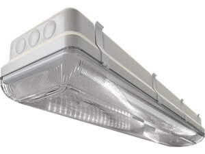 Промышленный аварийный светильник TL-ЭКО 236/35 PR IP65 (S5E) 5K БАП 2,4