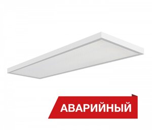 Diora NPO SE 23/2300 opal 3K A