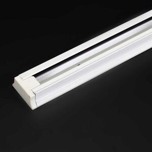Трек для спотов 2L 1м NX24 (однофазный, 2 провода, белый) DELCI