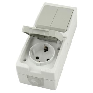 Розетка STEKKER PST16-21-54V/10-221-54 (блок с выключателем двухклав., однополюсным для двух цепей с общим вводом,