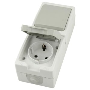 Розетка STEKKER PST16-21-54V/10-211-54 (блок с выключателем одноклавишным однополюсным, для двух цепей с общим вводом