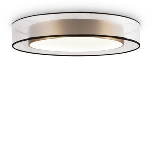 Потолочный светильник Freya FR6005CL-L48G