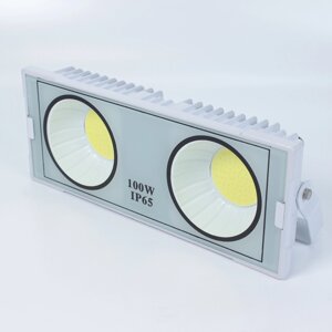 Светодиодный прожектор JH-TGD-Z09 V55 (100W, 220V, cool white) DELCI