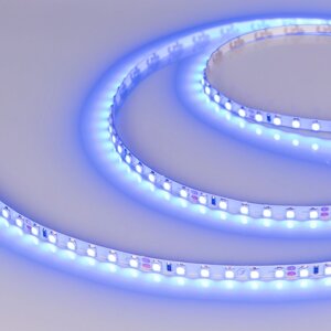 Светодиодная лента RT-A120-5mm 24V Blue (9.6 W/m, IP20, 5m) (Arlight, 9.6 Вт/м, IP20)