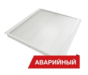 Diora Office Clip Flat 29/3300 opal 4К A