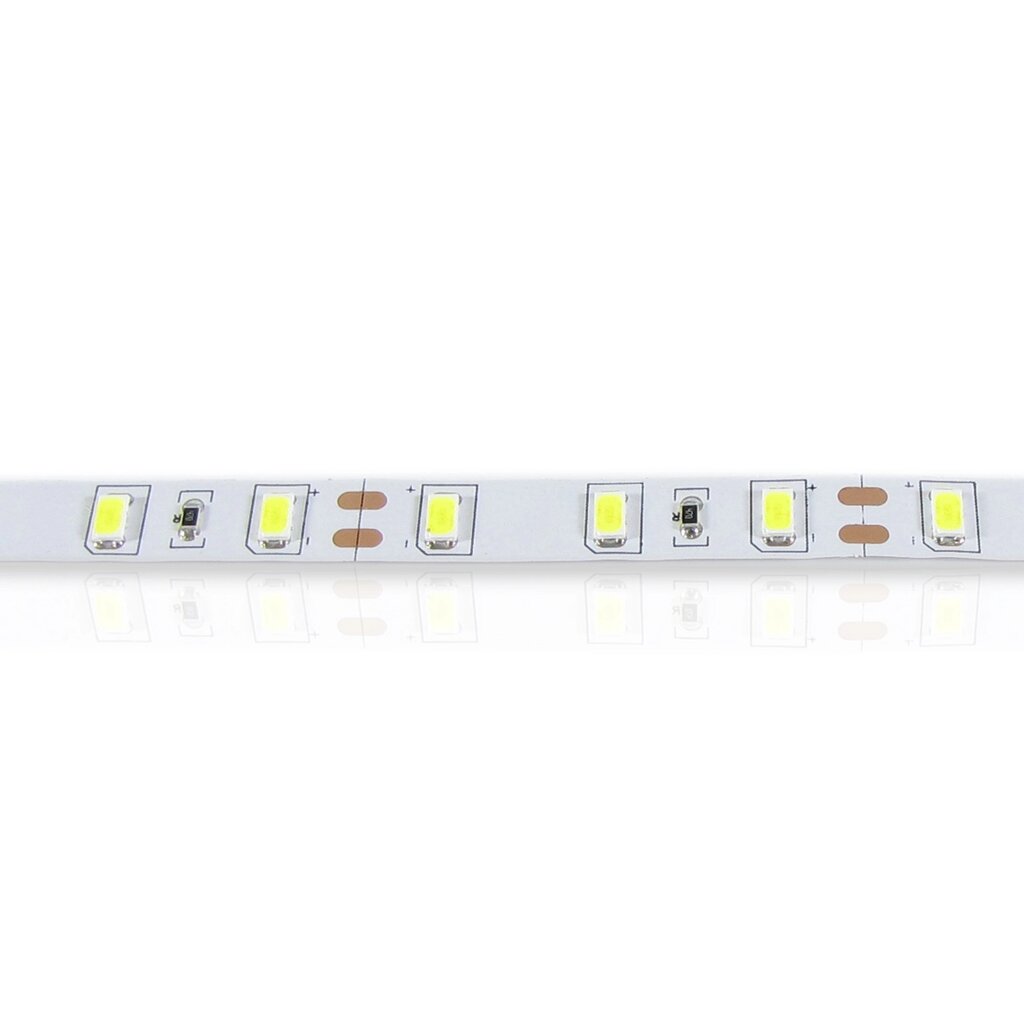 Светодиодная лента Standart PRO class, 5630, 60led/m, white, 20Lm,12V, IP33, P303 DELCI от компании ФЕРОСВЕТ  ( FEROSVET) - фото 1