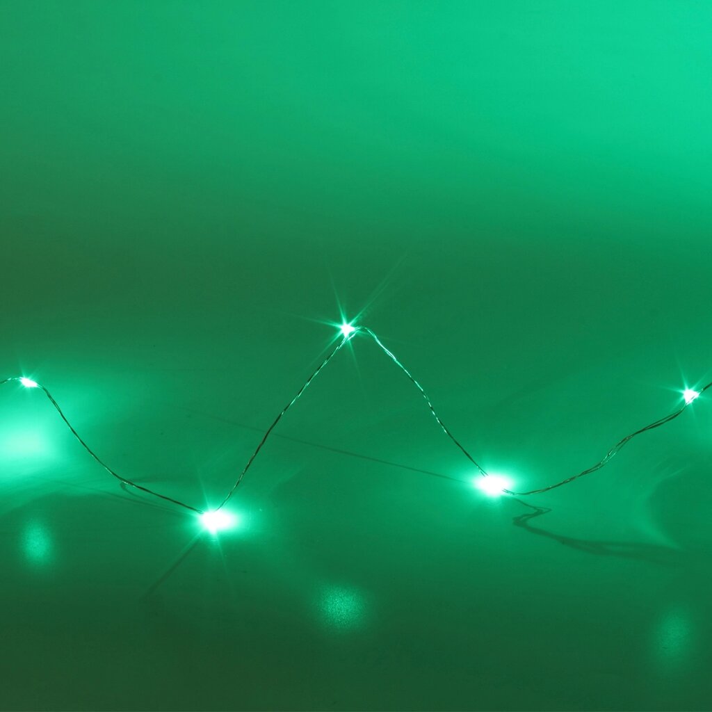 Светодиодная нить SK152 (12V, 200Led, green) DELCI от компании ФЕРОСВЕТ - фото 1