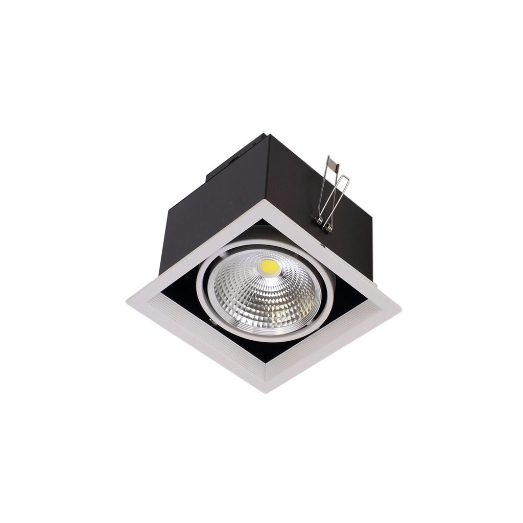 Светодиодный светильник карданный AR90-1 OD1 (220V, 1х20W, white) DELCI от компании ФЕРОСВЕТ - фото 1