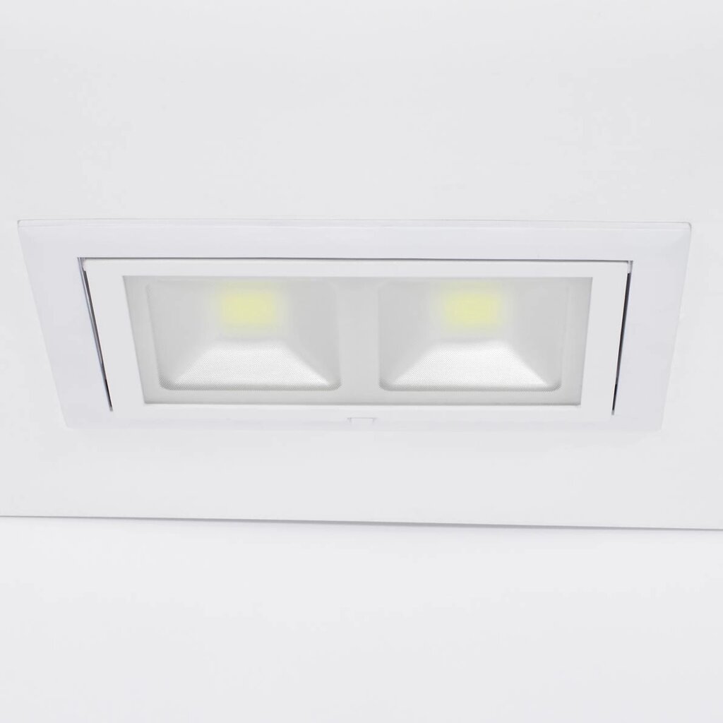 Светодиодный светильник поворотный SW clear glass (48W, White) DELCI от компании ФЕРОСВЕТ - фото 1