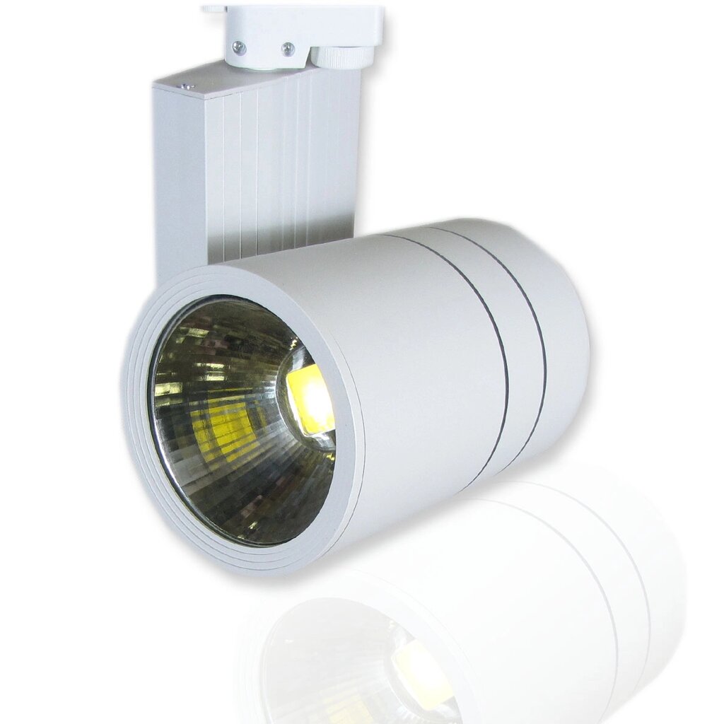 Светодиодный светильник трековый 2L PX13 (20W, 220V, Day White) DELCI от компании ФЕРОСВЕТ - фото 1