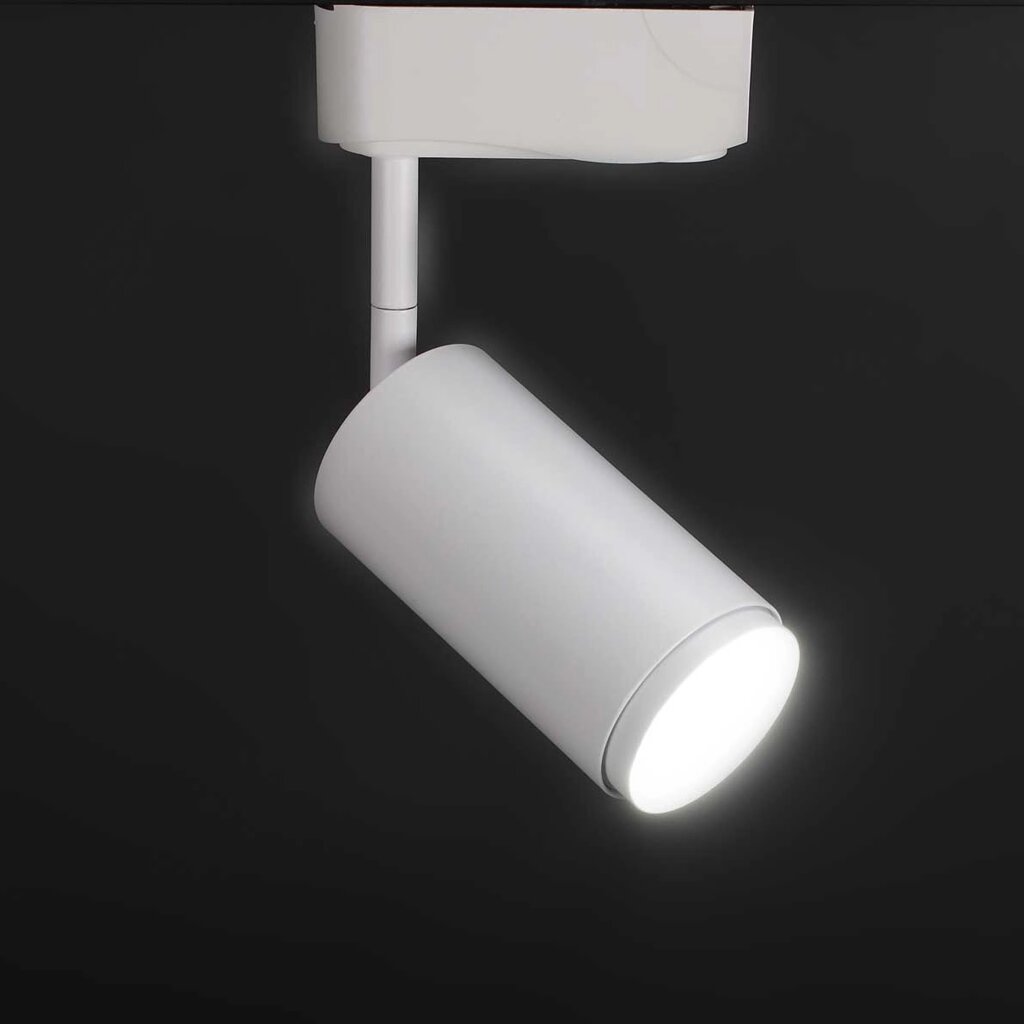 Светодиодный светильник трековый 2L PX42 (10W, 220V, white, белый корпус) DELCI от компании ФЕРОСВЕТ - фото 1
